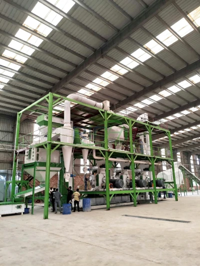 20T/H wood chip and sawdust biomass pellet production line in Bangladesh