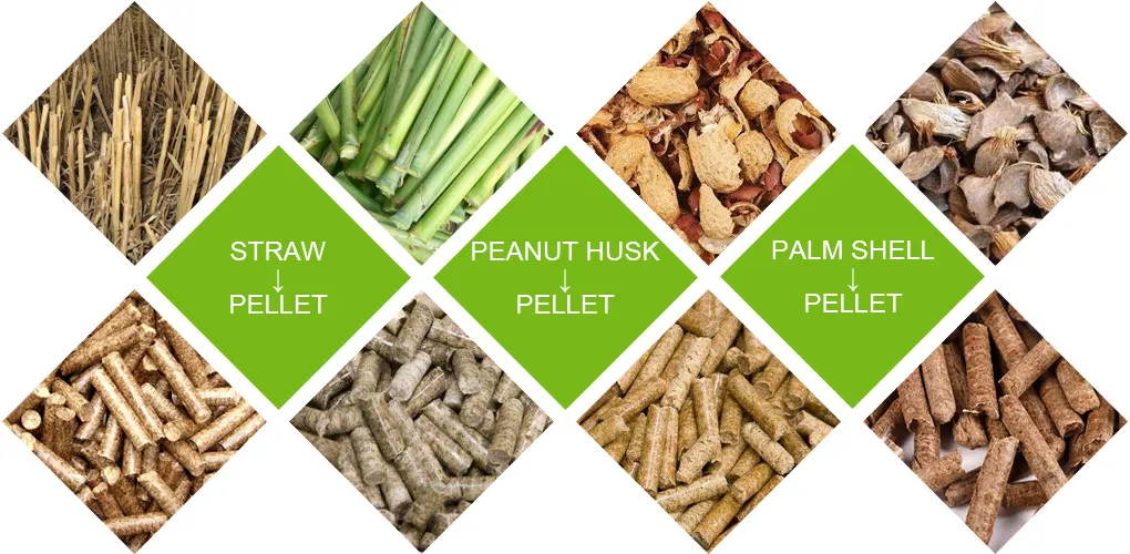 Biomass feedstocks for biofuel pellets peanut shells corn stalk palm shells